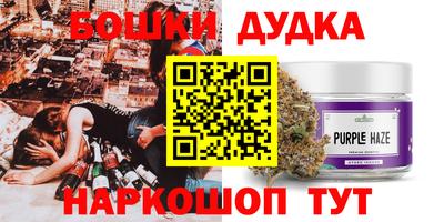 крисы Краснознаменск