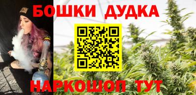 крисы Краснознаменск