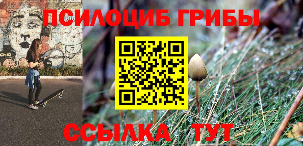 Каменск-Шахтинский  Псилоцибиновые грибы Psilocybine cubensis  Галлюциногенные грибы мухоморы  Вход с VPN 