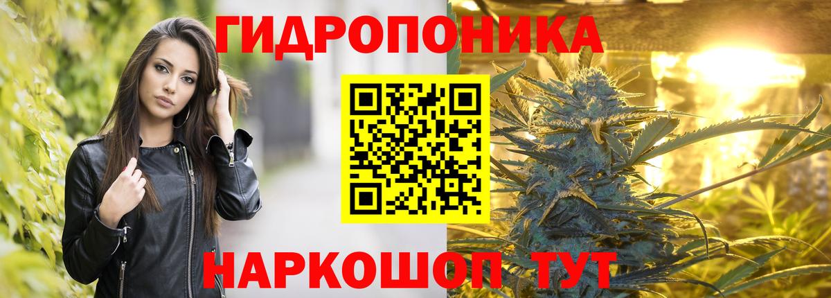 Бошки марихуана OG Kush Каменск-Шахтинский